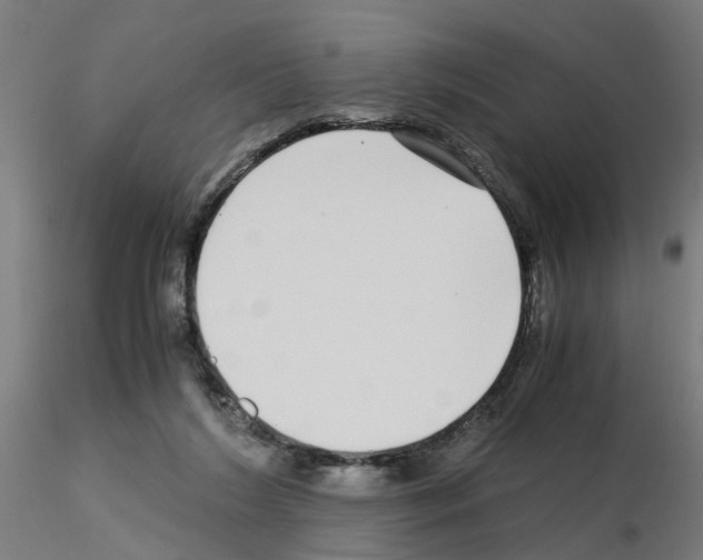 X0000115640212200912221317