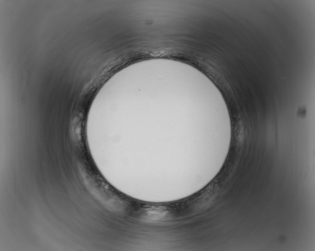 X0000115640214200912221317