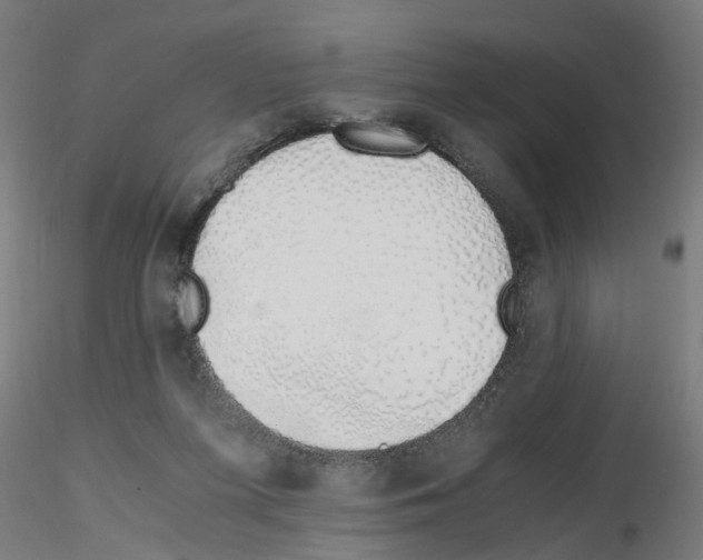 X0000115640215200912221317