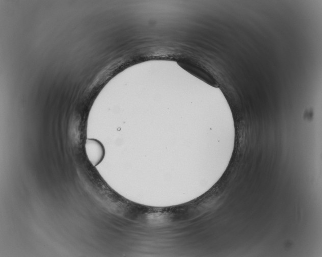 X0000115640216200912221317