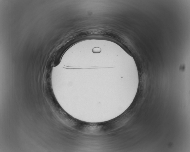 X0000115640217200912221317