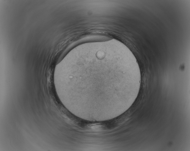 X0000115640219200912221317