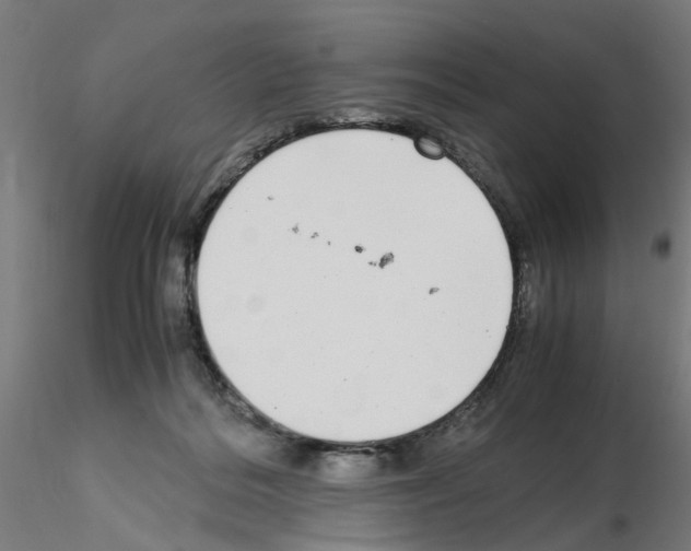 X0000115640220200912221317