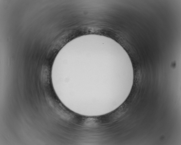 X0000115640222200912221317