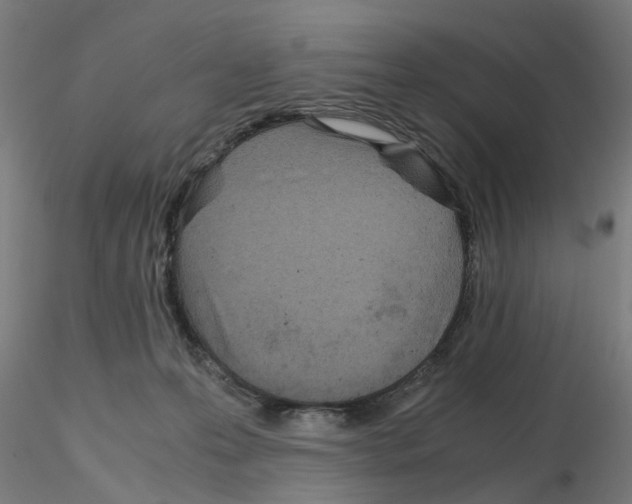 X0000115640223200912221317