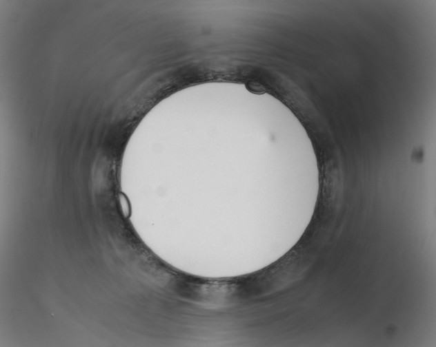 X0000115640225200912221317