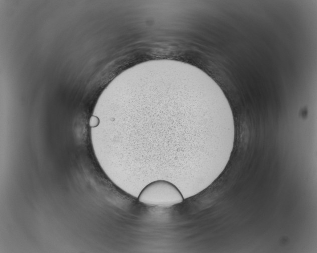 X0000115640226200912221317