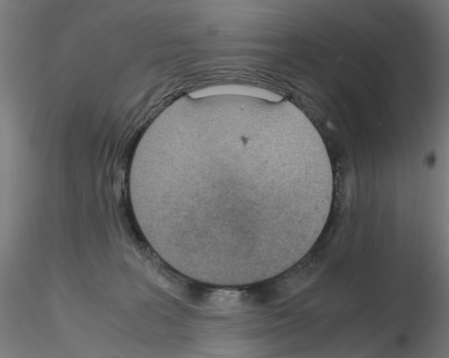 X0000115640227200912221317