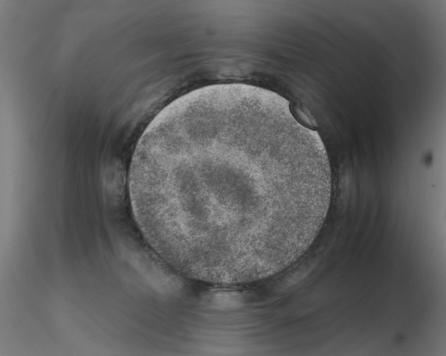 X0000115640228200912221317