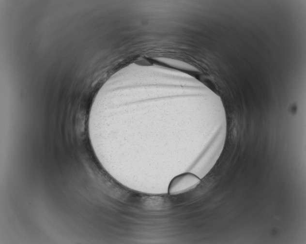 X0000115640230200912221317
