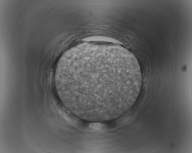 X0000115640231200912221317