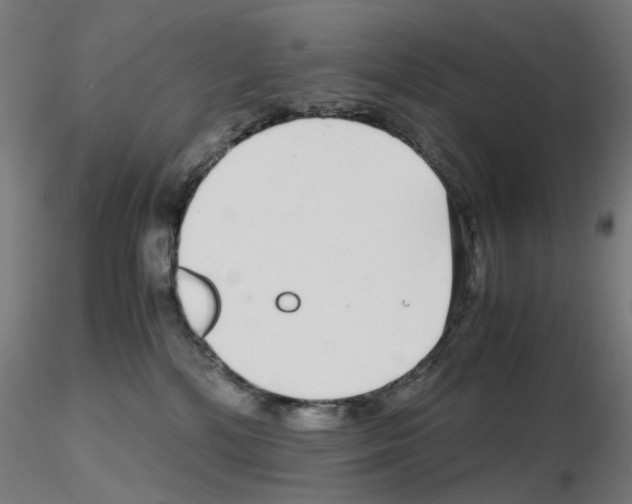 X0000115640232200912221317