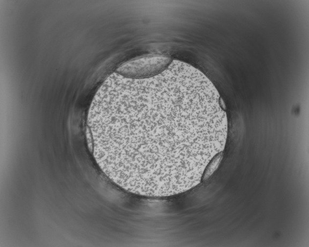 X0000115640233200912221317