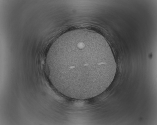 X0000115640235200912221316