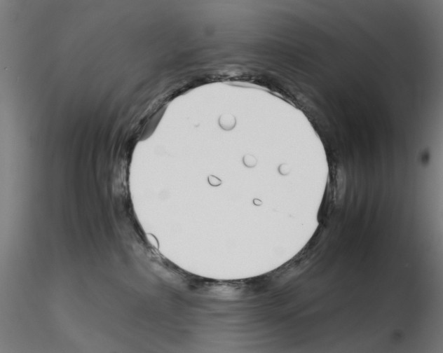 X0000115640236200912221316