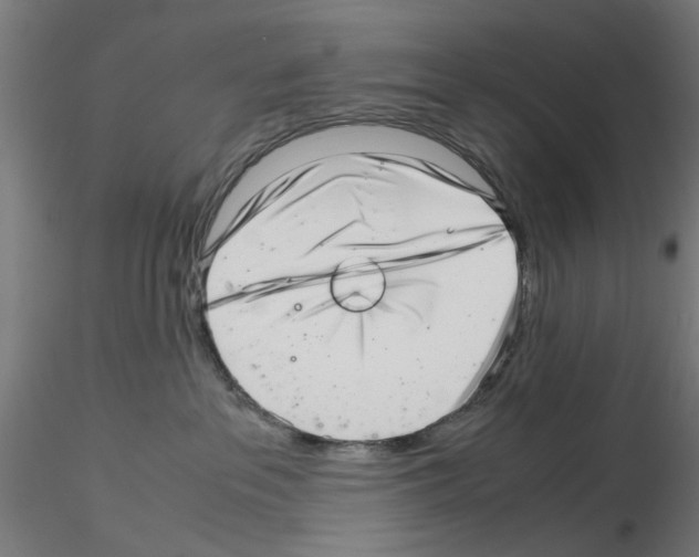 X0000115640237200912221316