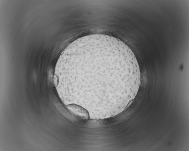 X0000115640238200912221316