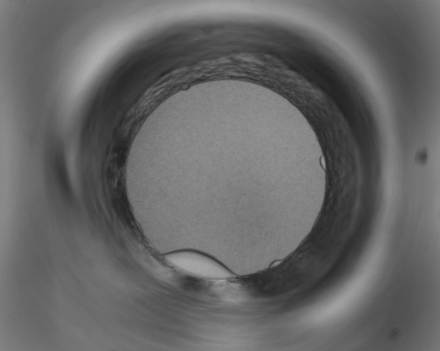 X0000115640239200912221316
