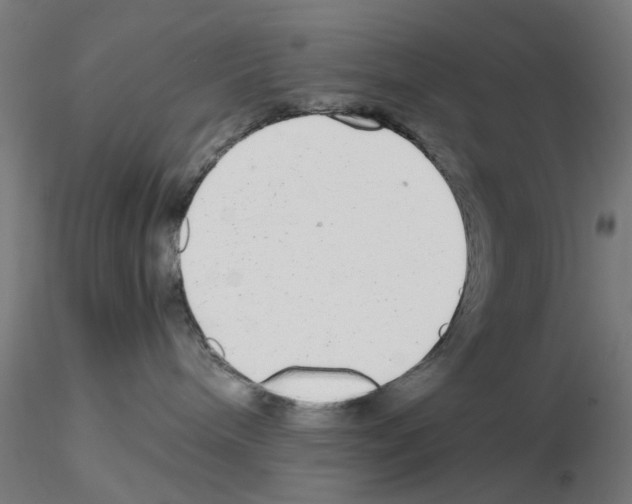 X0000115640240200912221316
