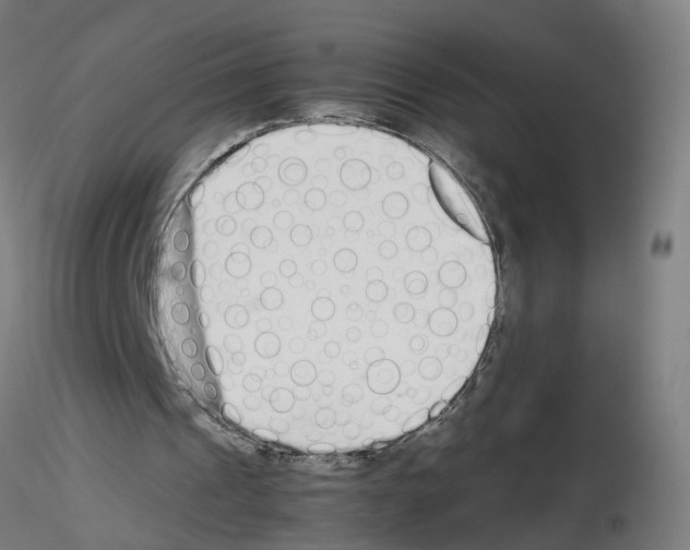 X0000115640241200912221316