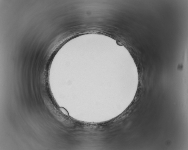 X0000115640242200912221316