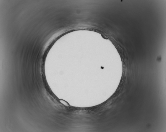 X0000115640244200912221316