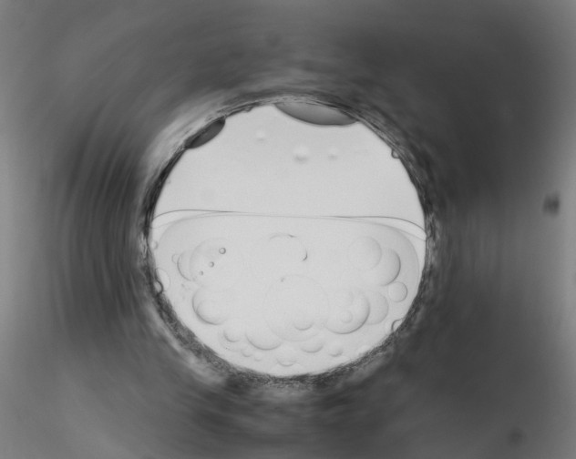 X0000115640245200912221316