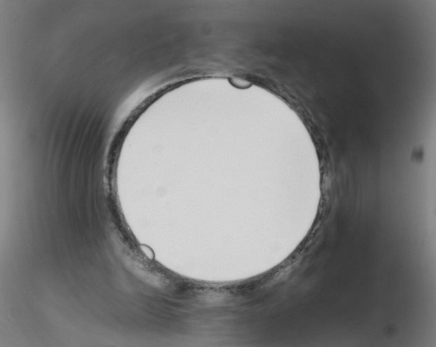 X0000115640246200912221316