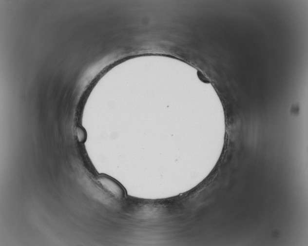 X0000115640248200912221316
