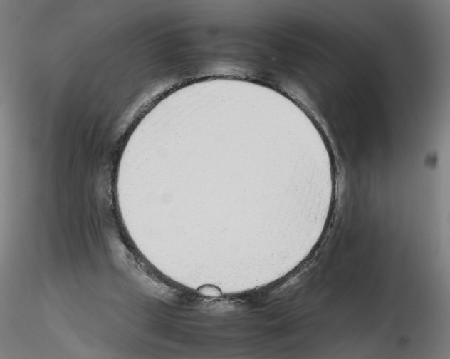 X0000115640249200912221316