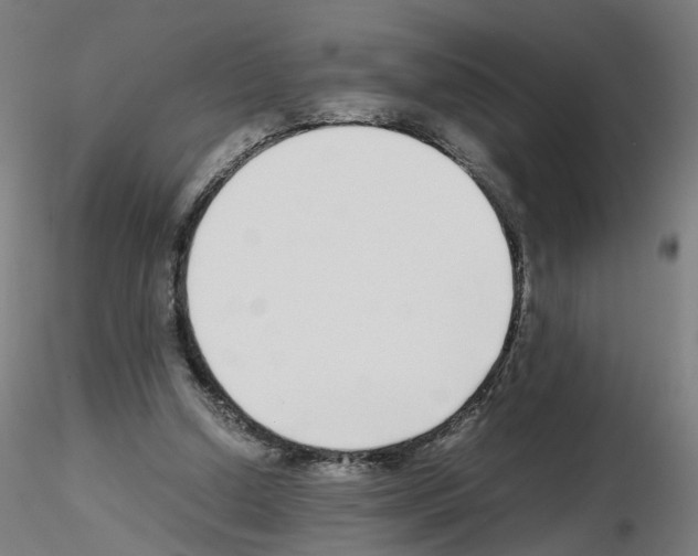X0000115640250200912221316