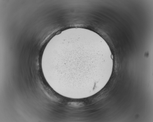 X0000115640251200912221316