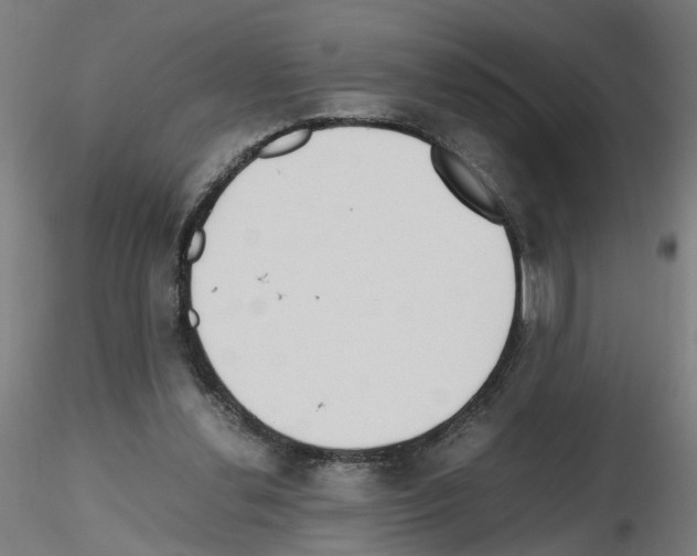 X0000115640252200912221316