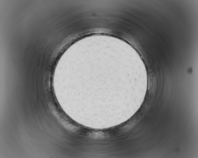 X0000115640253200912221316