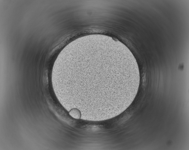 X0000115640254200912221316