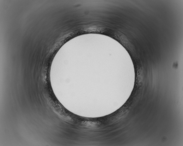 X0000115640255200912221316