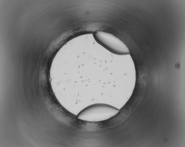 X0000115640256200912221316