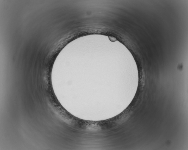 X0000115640258200912221316