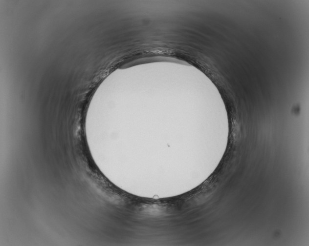 X0000115640259200912221316