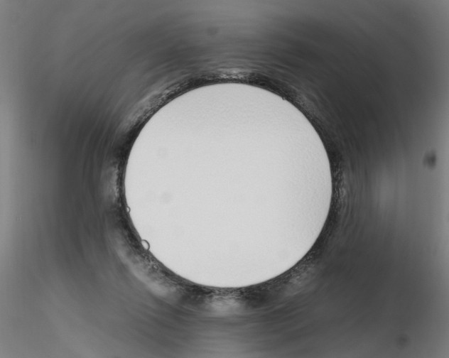 X0000115640262200912221316