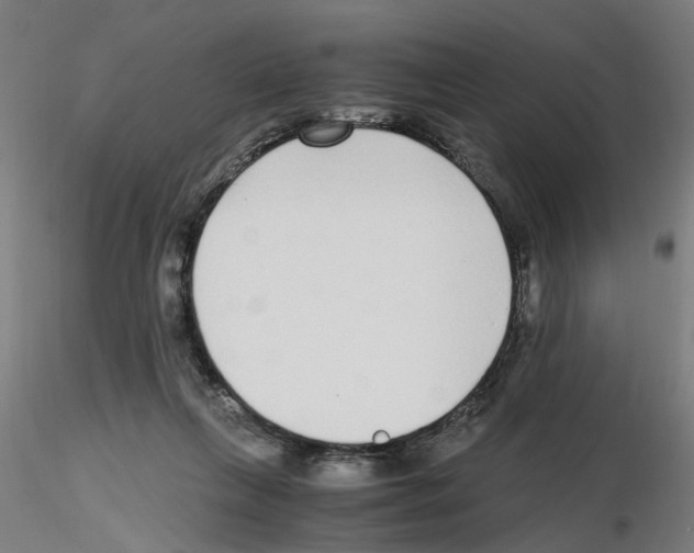 X0000115640263200912221316