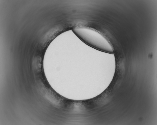 X0000115640264200912221316