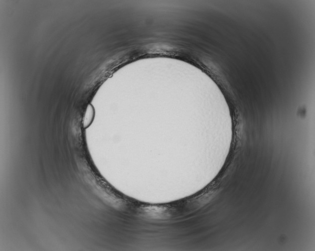 X0000115640265200912221316