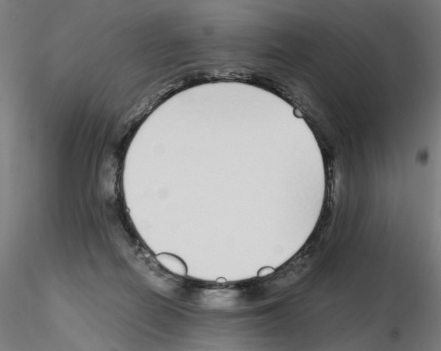X0000115640266200912221316