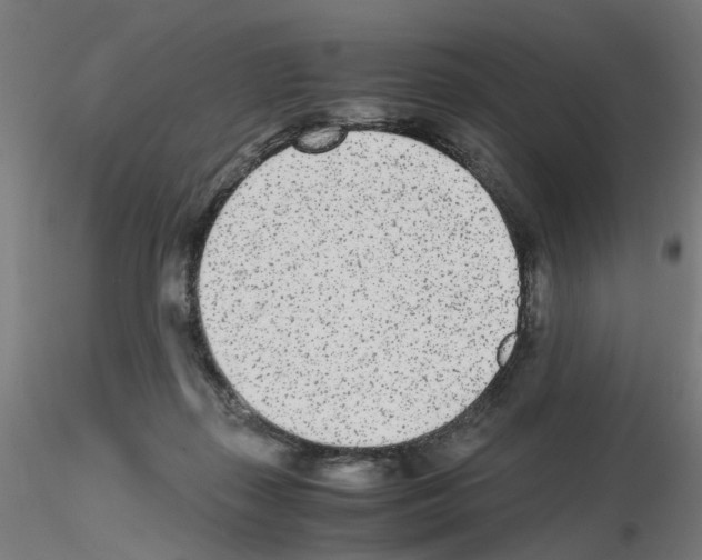 X0000115640267200912221316