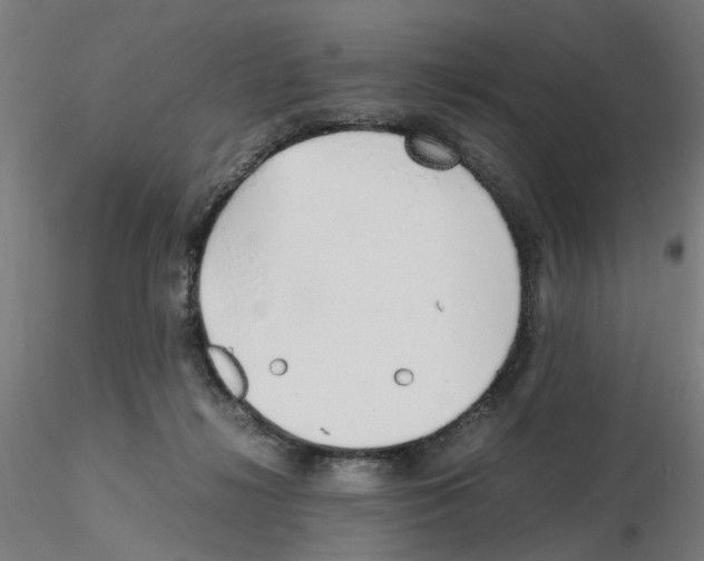 X0000115640268200912221316