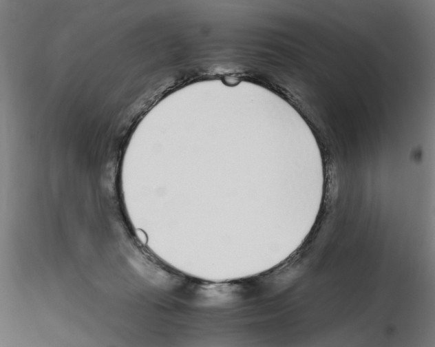 X0000115640269200912221316