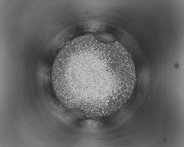 X0000115640272200912221316
