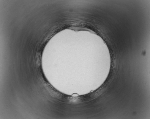 X0000115640273200912221316