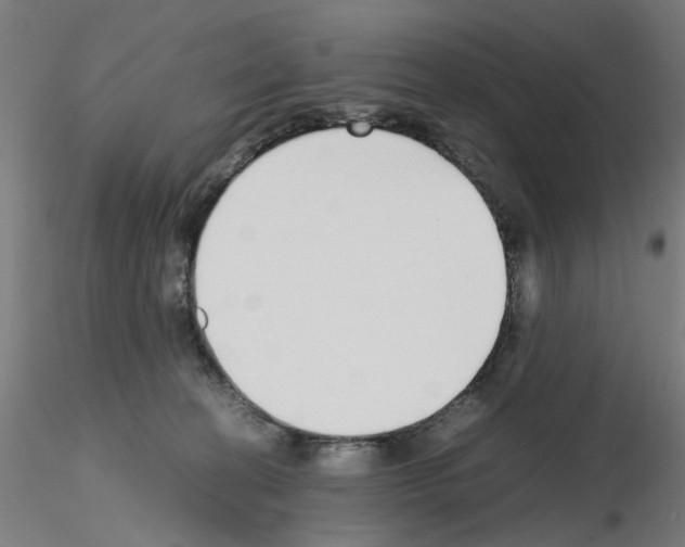 X0000115640274200912221316